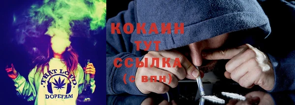 Альфа ПВП Аркадак